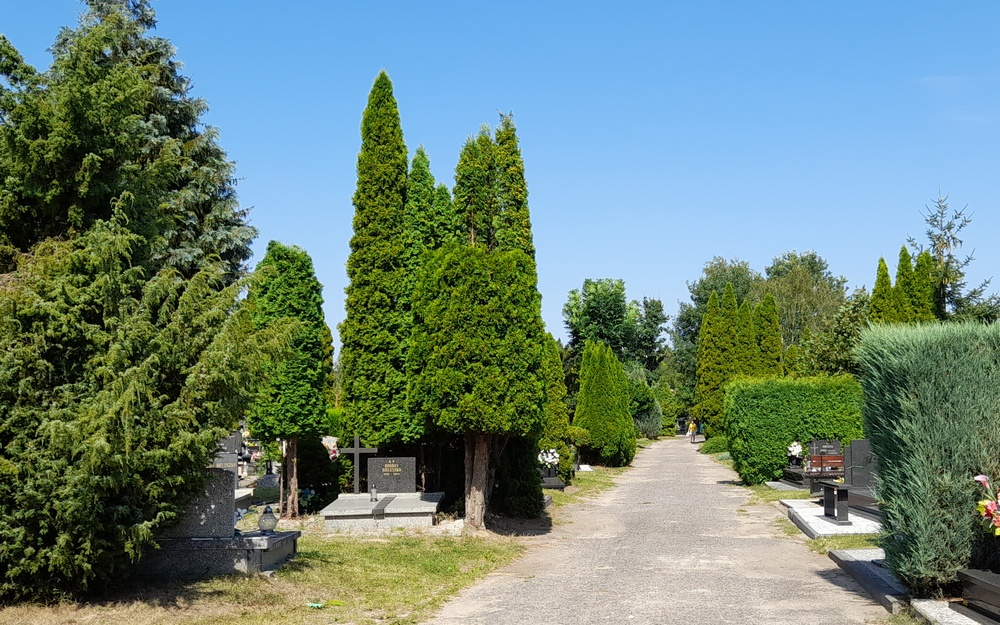 Zdjęcie z Cmentarza Komunalnego