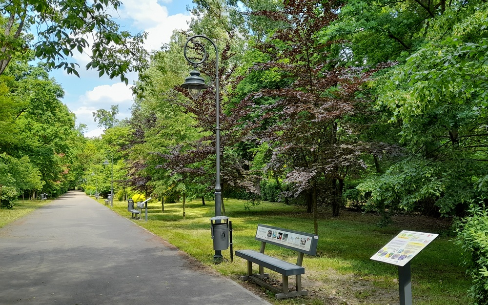 Zdjęcie z parku miejskiego