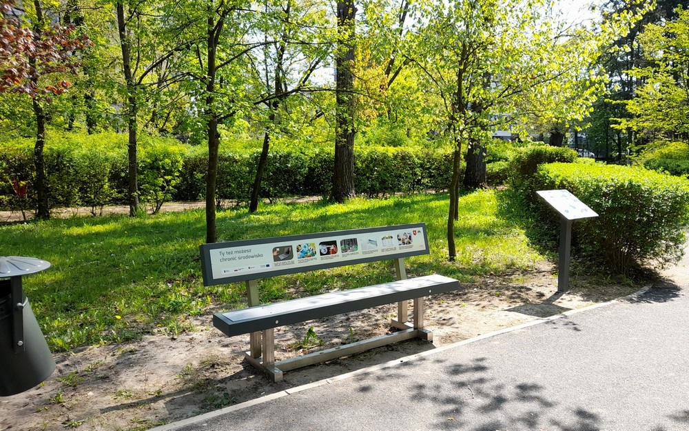 Zdjęcie z parku miejskiego